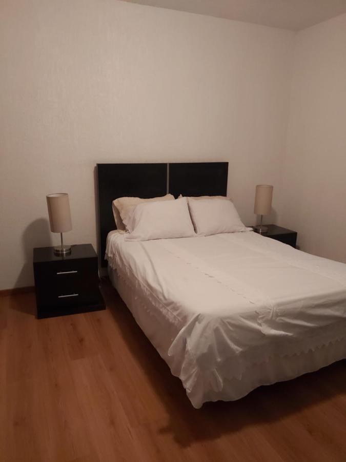 Steinhaus Suites Hamburgo 墨西哥城 外观 照片