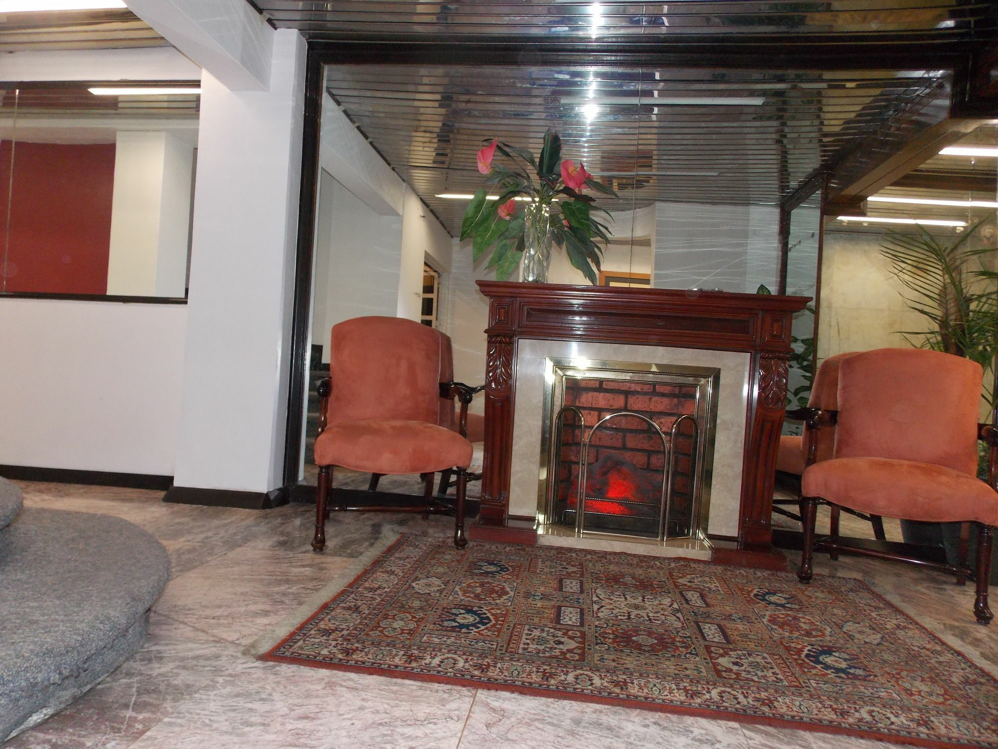 Steinhaus Suites Hamburgo 墨西哥城 外观 照片